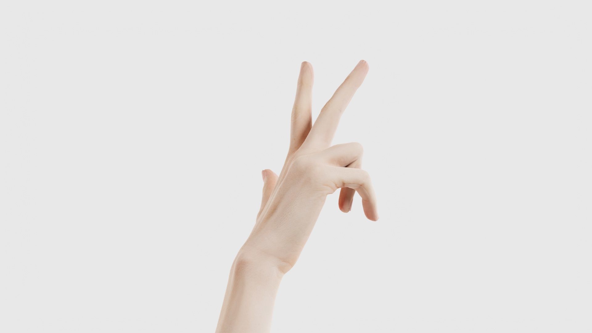 Single Hand 021 Low-poly 3D model_19