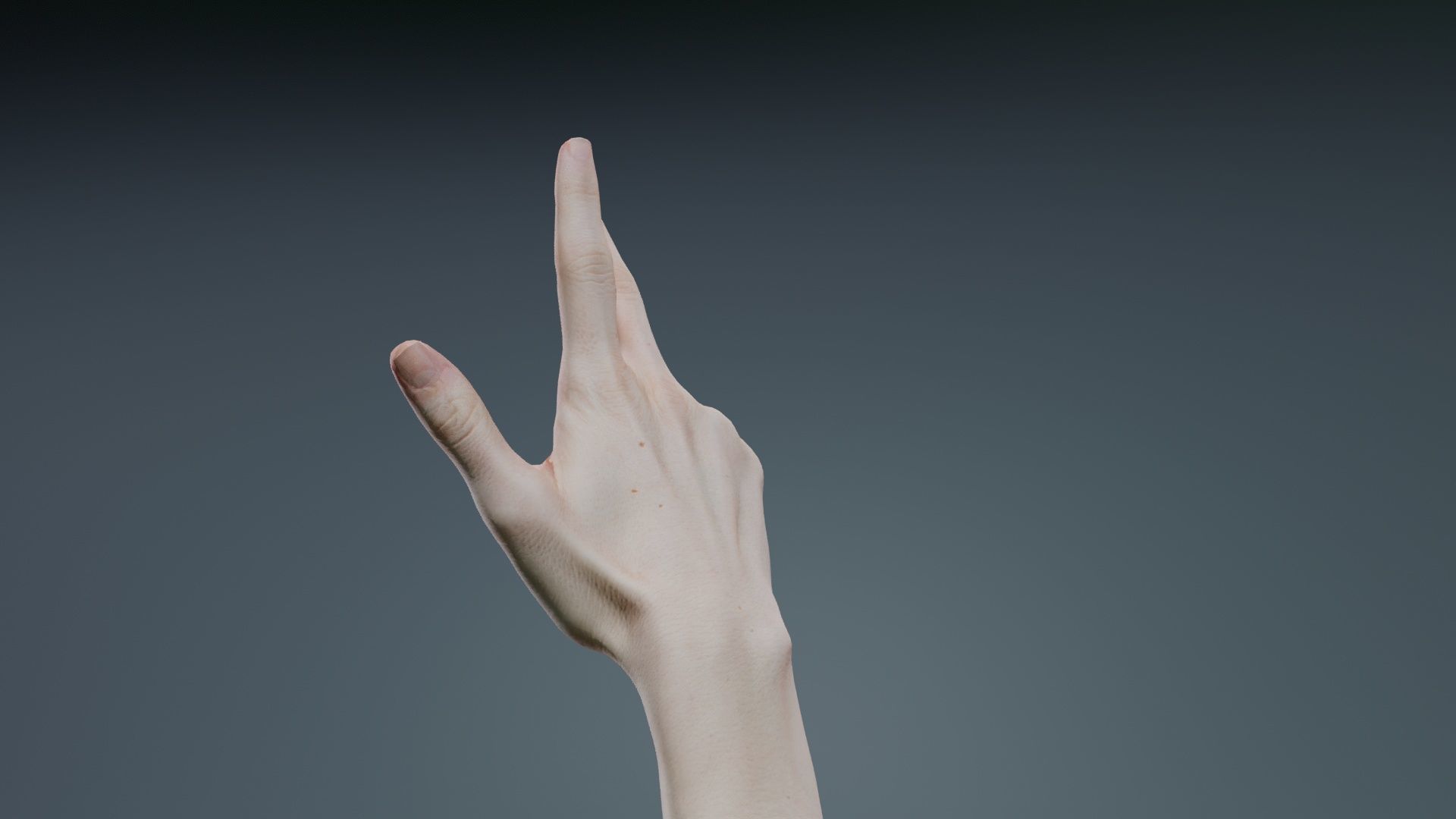 Single Hand 021 Low-poly 3D model_4