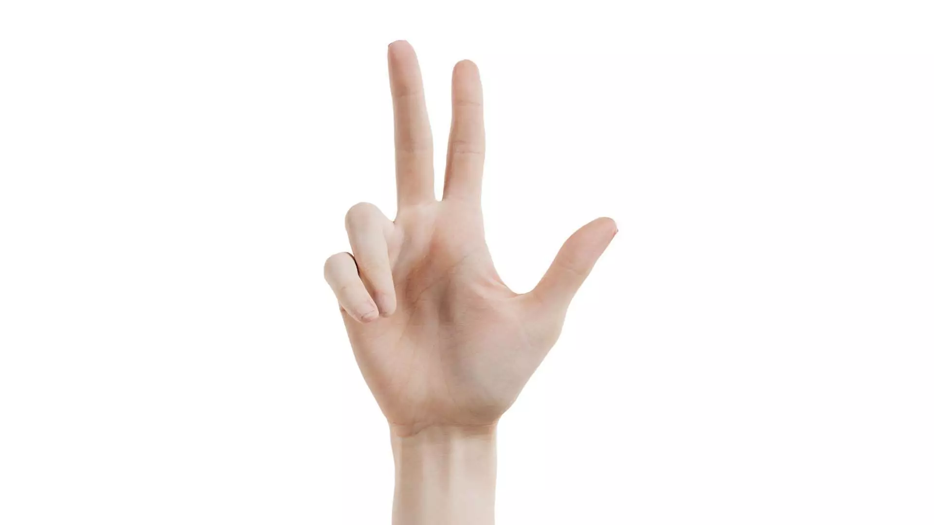 Single Hand 021 Low-poly 3D model_0