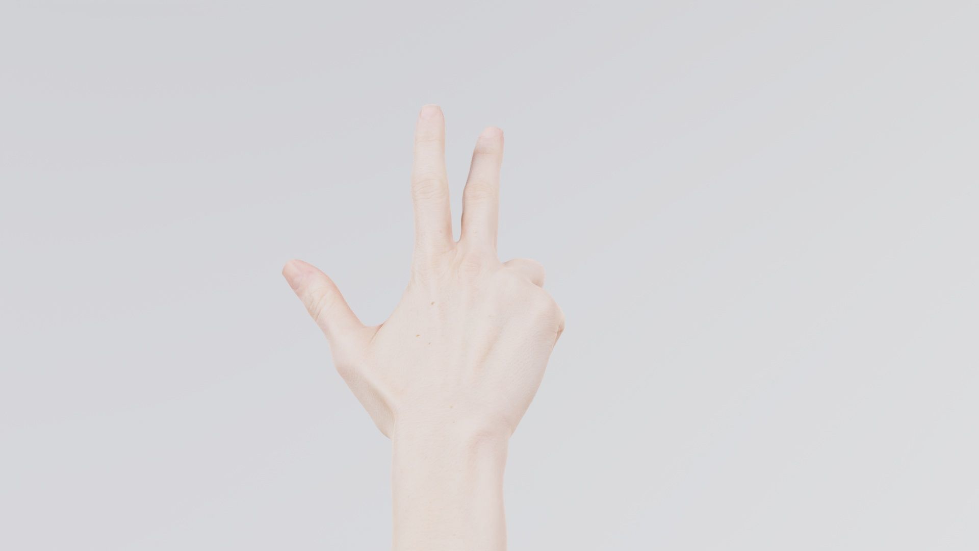 Single Hand 021 Low-poly 3D model_8