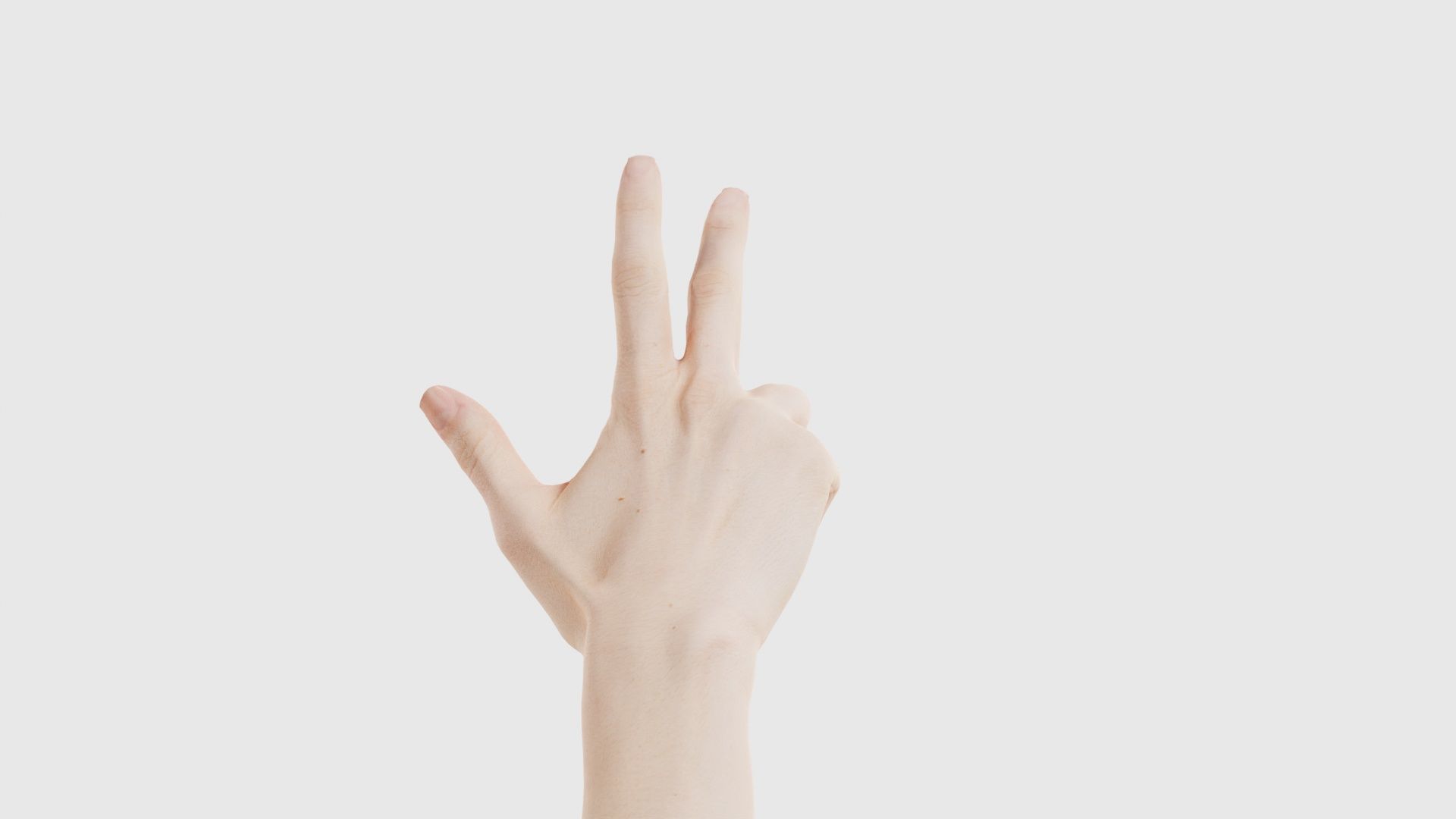 Single Hand 021 Low-poly 3D model_21