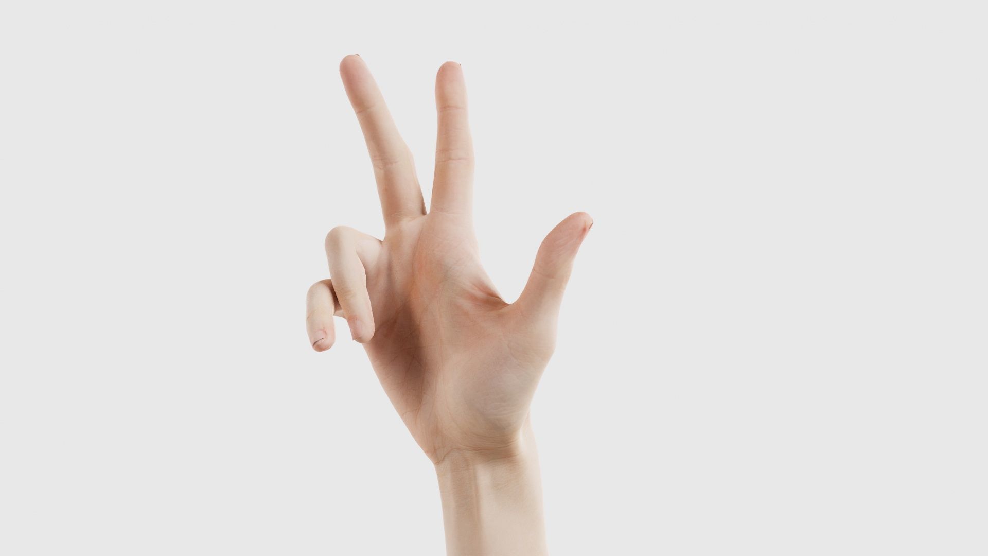 Single Hand 021 Low-poly 3D model_26