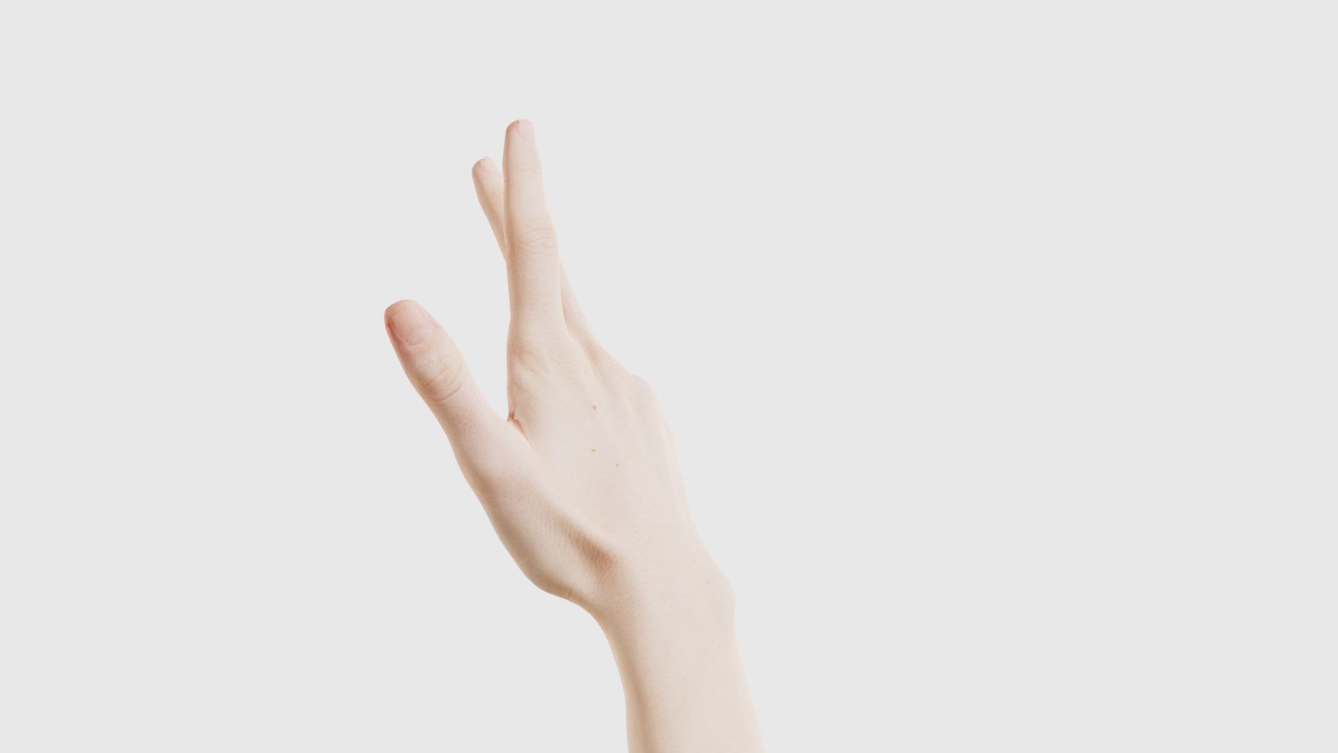 Single Hand 021 Low-poly 3D model_23