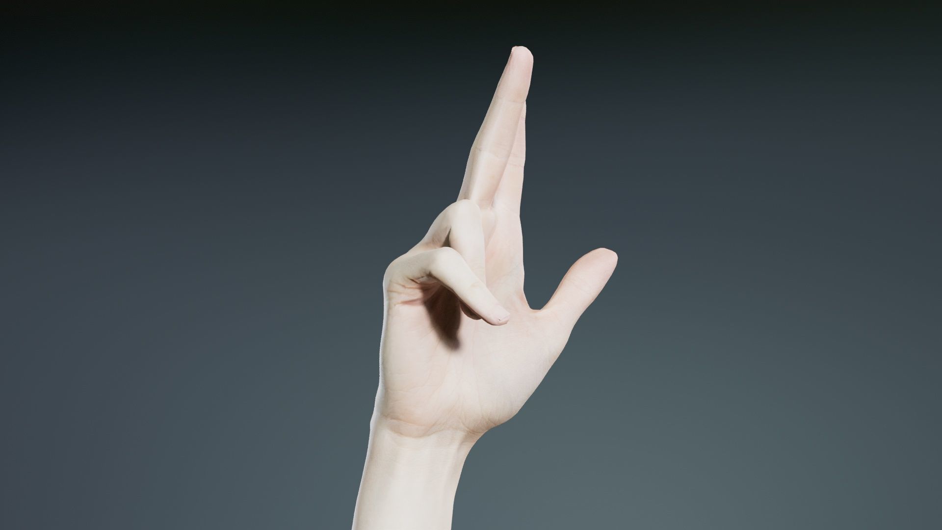 Single Hand 021 Low-poly 3D model_6