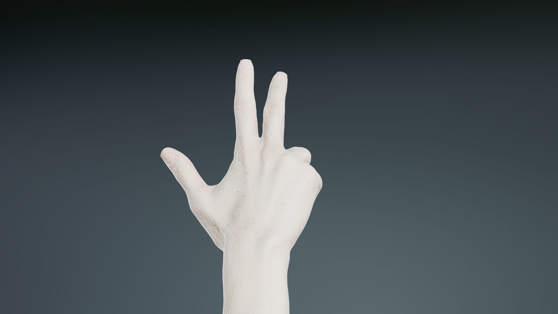 Single Hand 021 Low-poly 3D model_10