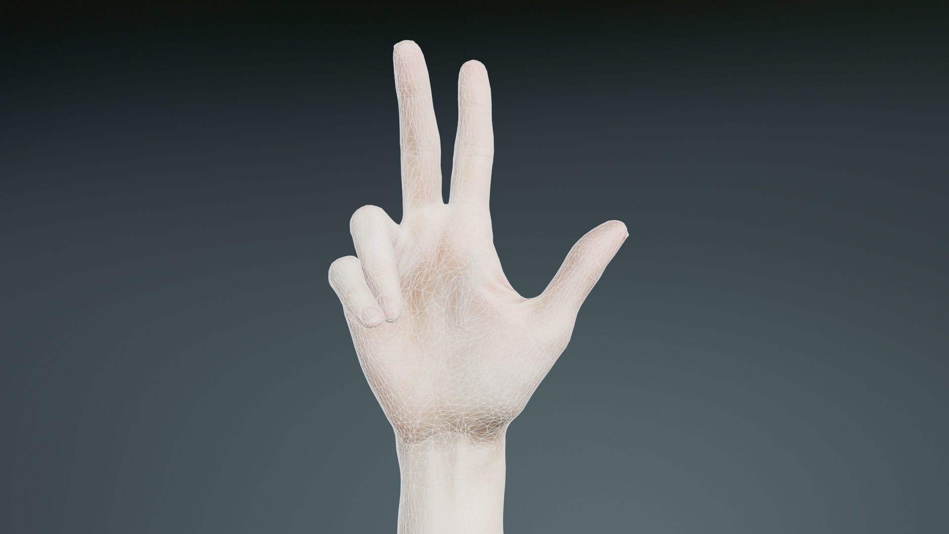 Single Hand 021 Low-poly 3D model_9