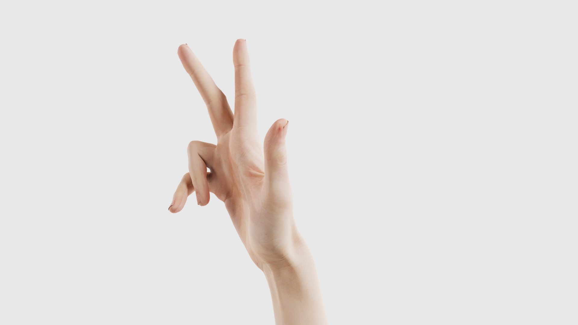 Single Hand 021 Low-poly 3D model_25