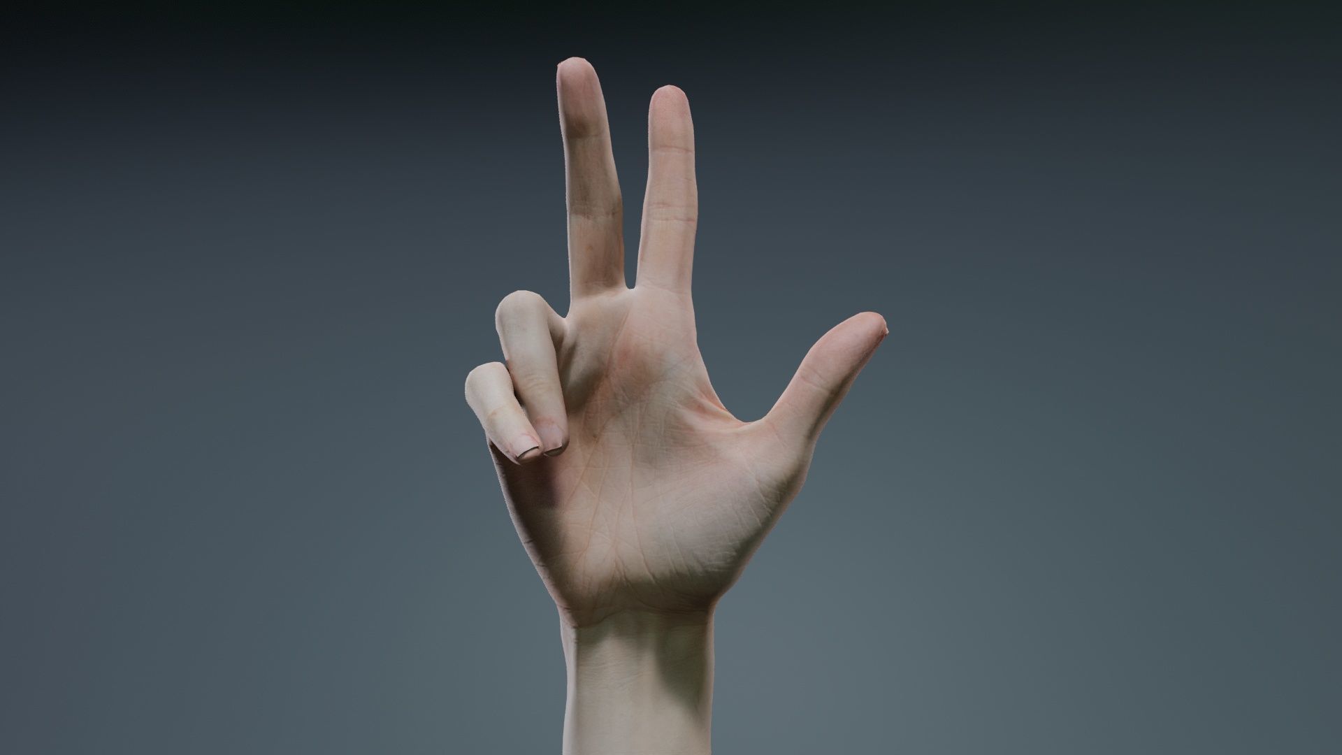 Single Hand 021 Low-poly 3D model_2