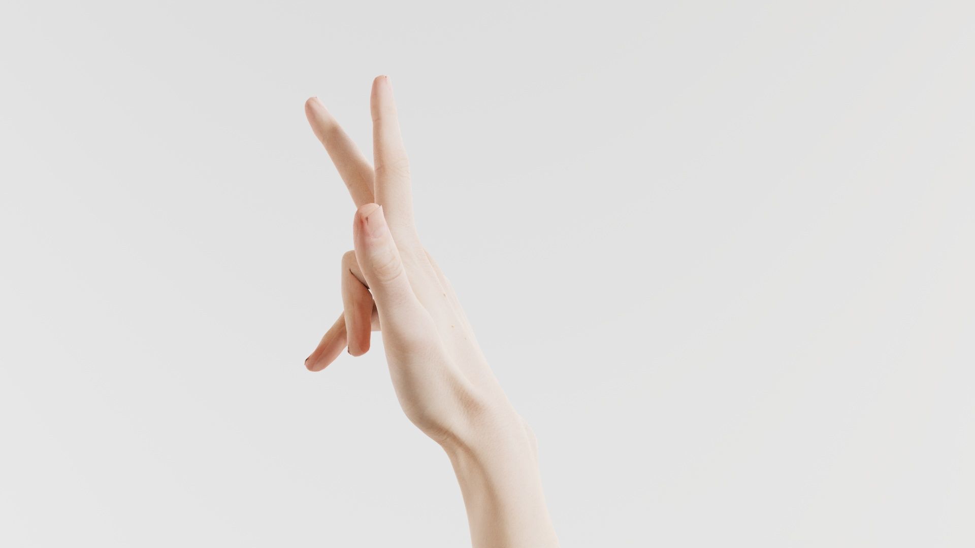 Single Hand 021 Low-poly 3D model_5