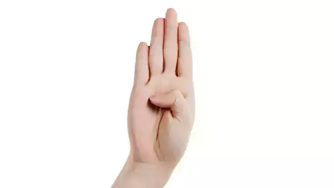 Finger Alphabet B Low-poly 3D model