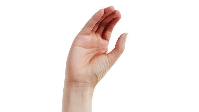 Finger Alphabet C Low-poly 3D model