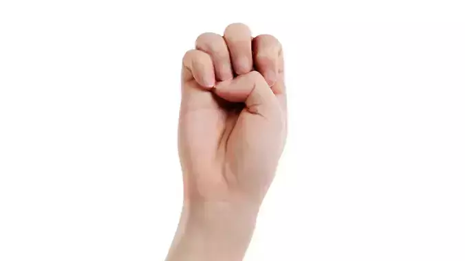 Finger Alphabet E Low-poly 3D model