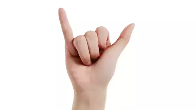 Finger Alphabet Y Low-poly 3D model