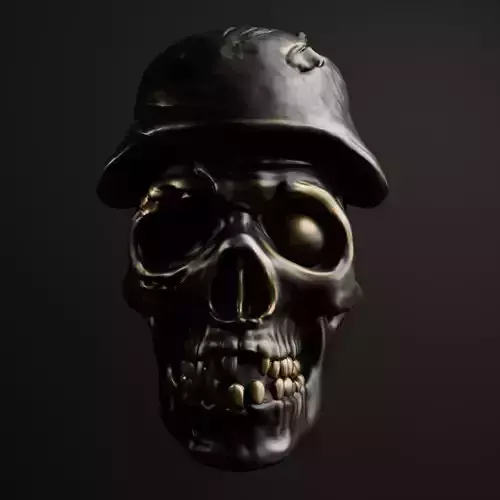 Army Skull Wall Art 