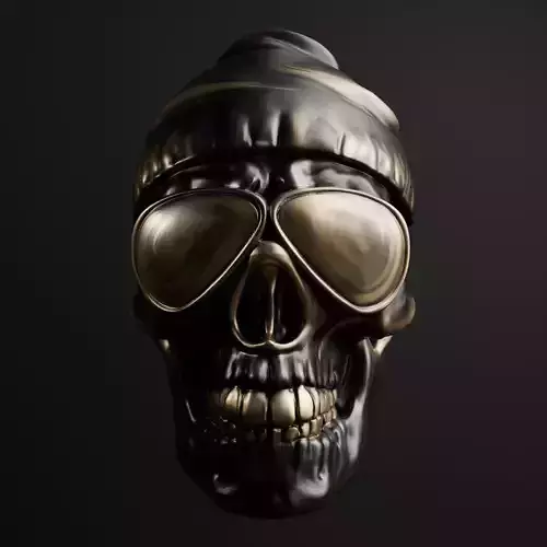  Rapper Skull Wall Art 