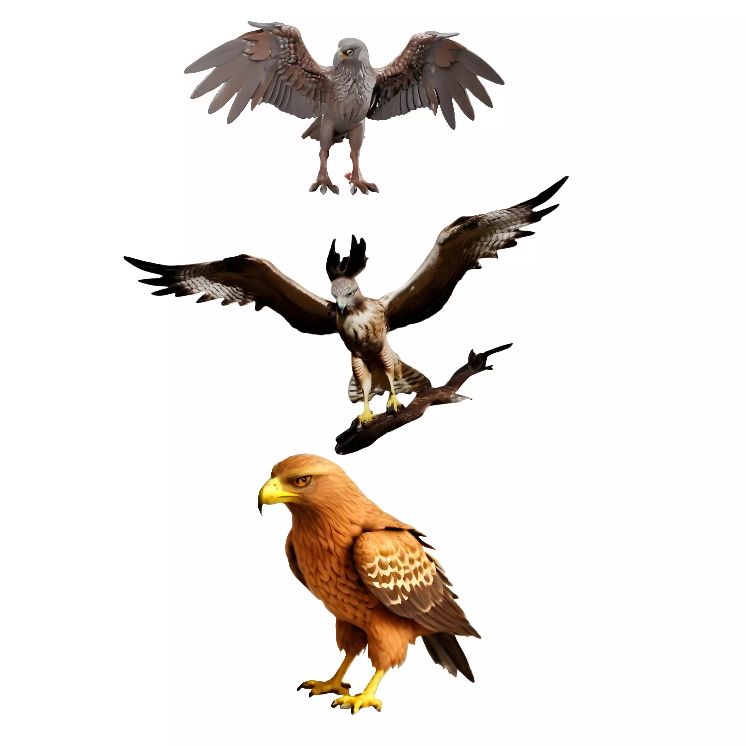 Majestic Eagle Display Model 3D print model_0