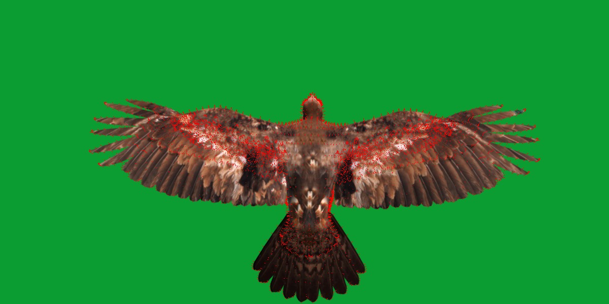 Golden Eagle Bird Low-poly 3D model_15
