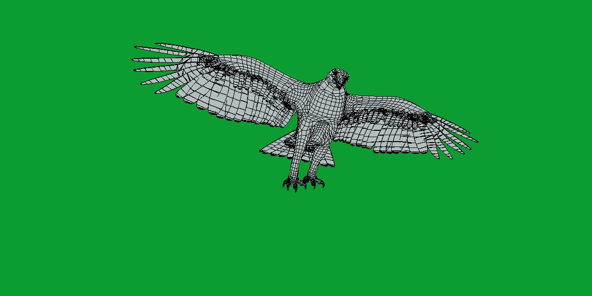 Golden Eagle Bird Low-poly 3D model_12