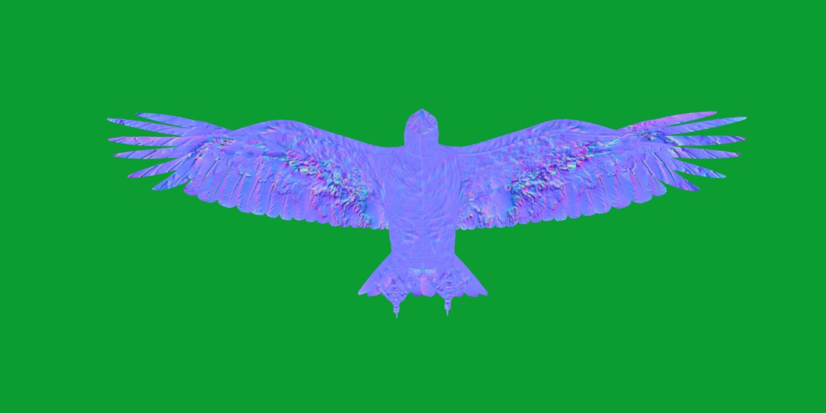 Golden Eagle Bird Low-poly 3D model_6