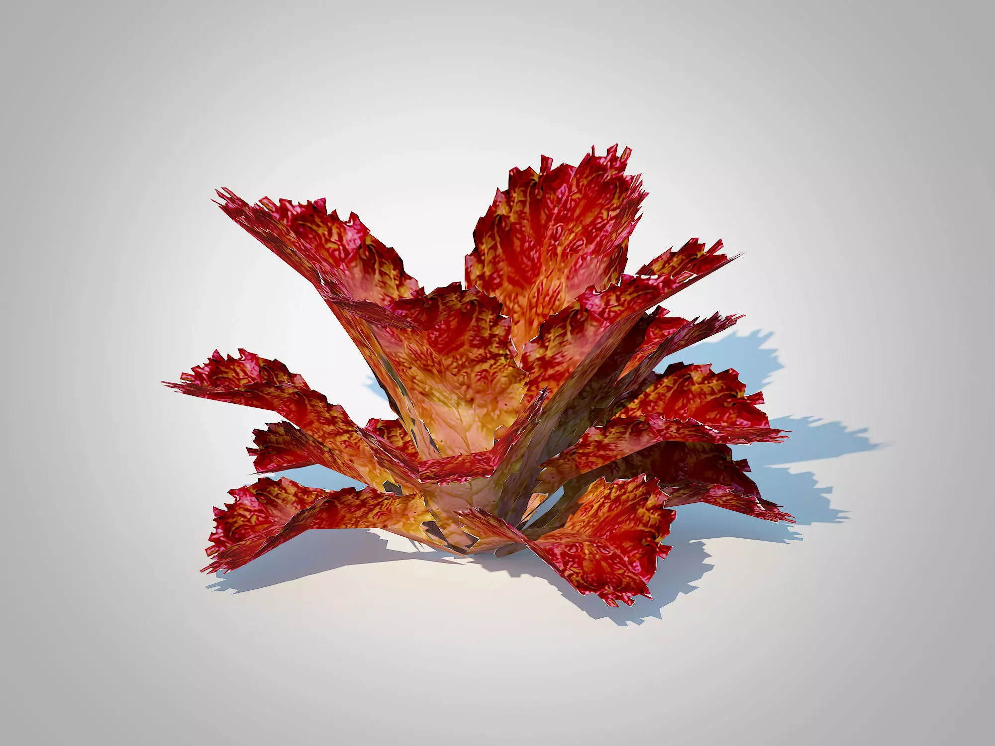 Plant Lettuce red Low-poly 3D model