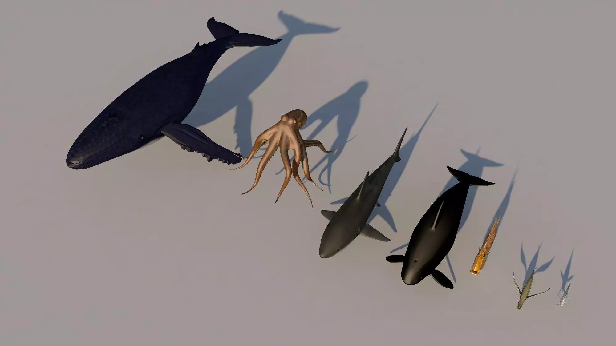 Fish Collection 3D model