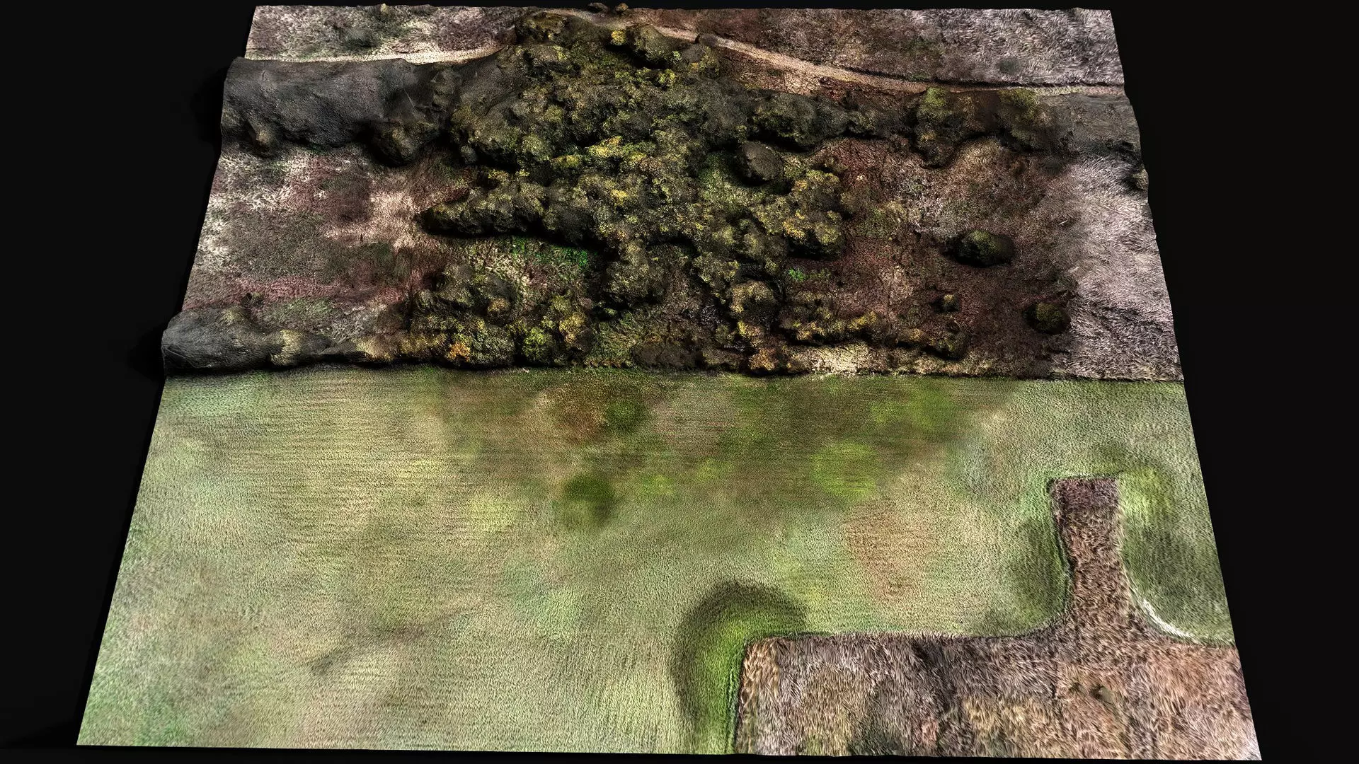 forest ground grass bushes aerial drone photogrammetry Low-poly 3D model_0