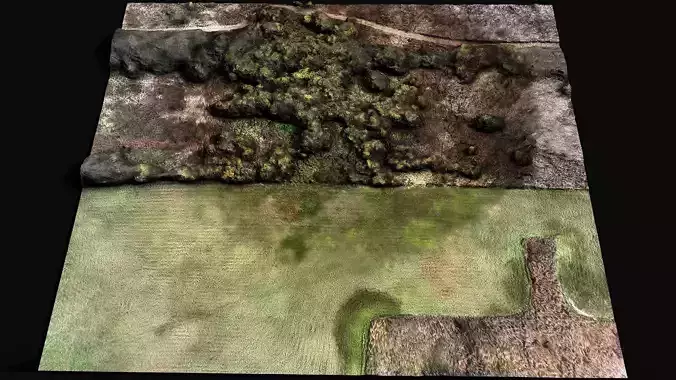 forest ground grass bushes aerial drone photogrammetry