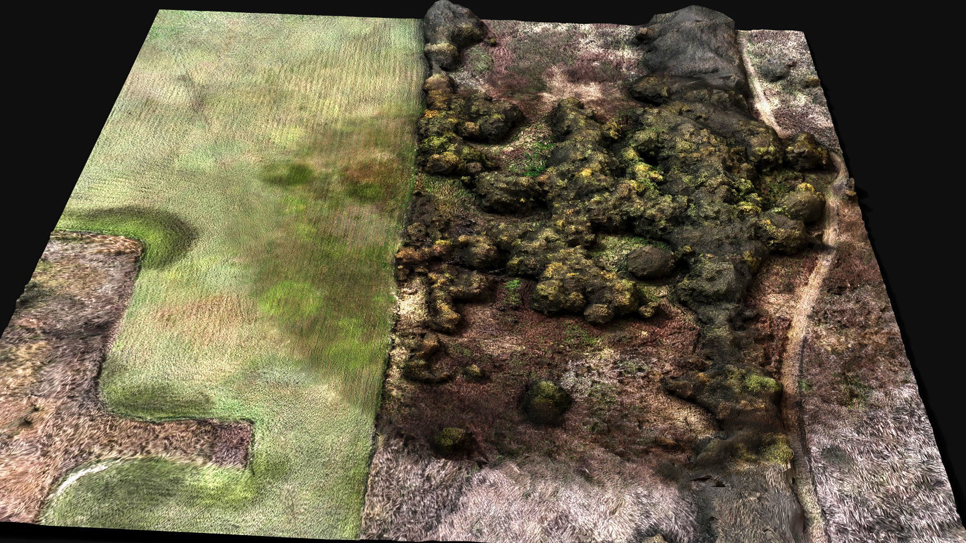 forest ground grass bushes aerial drone photogrammetry Low-poly 3D model_5