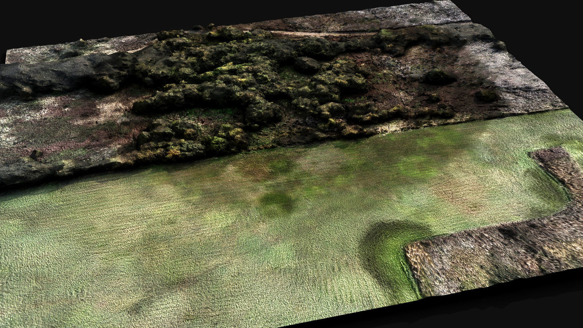 forest ground grass bushes aerial drone photogrammetry Low-poly 3D model_4