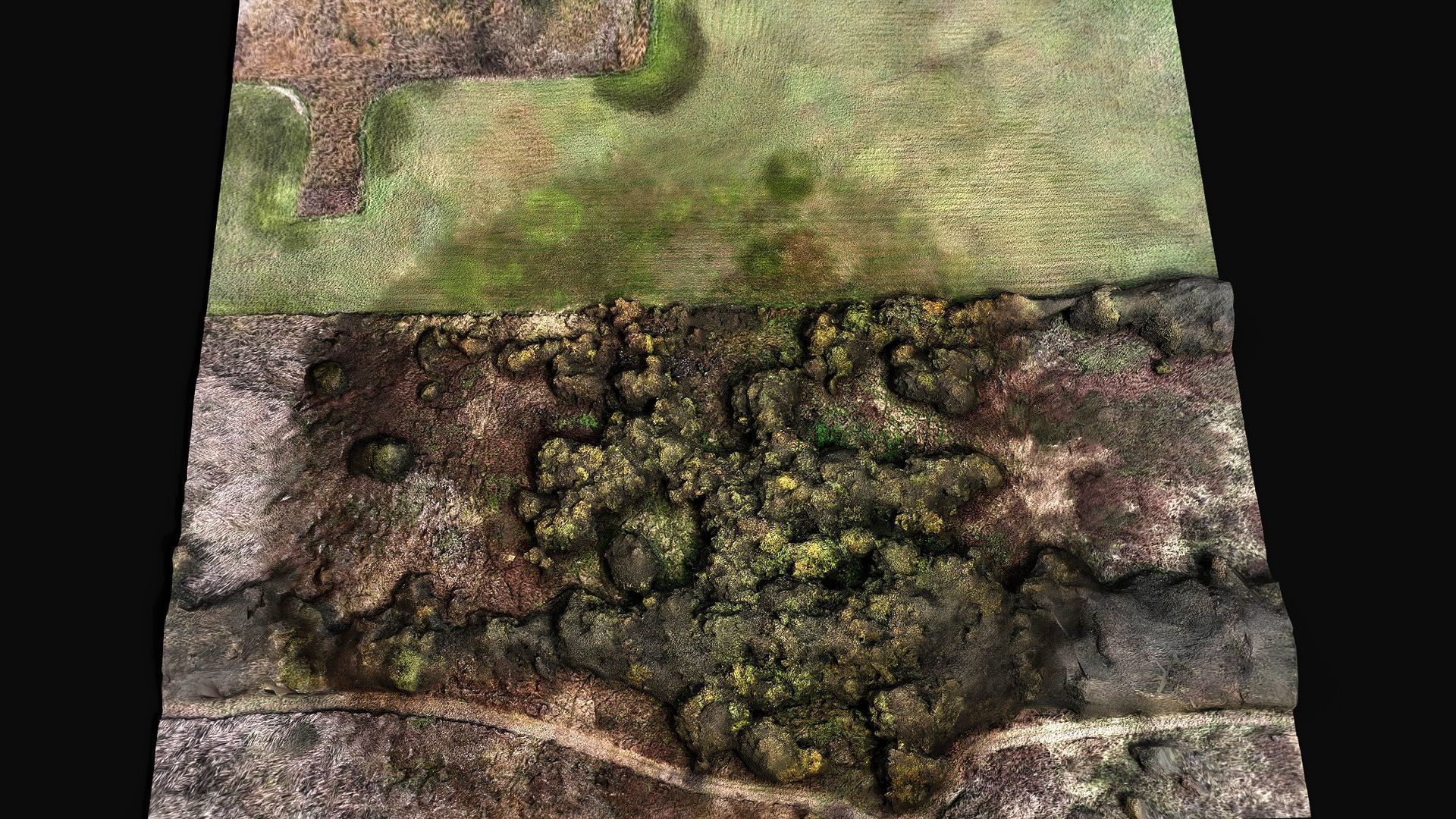 forest ground grass bushes aerial drone photogrammetry Low-poly 3D model_1