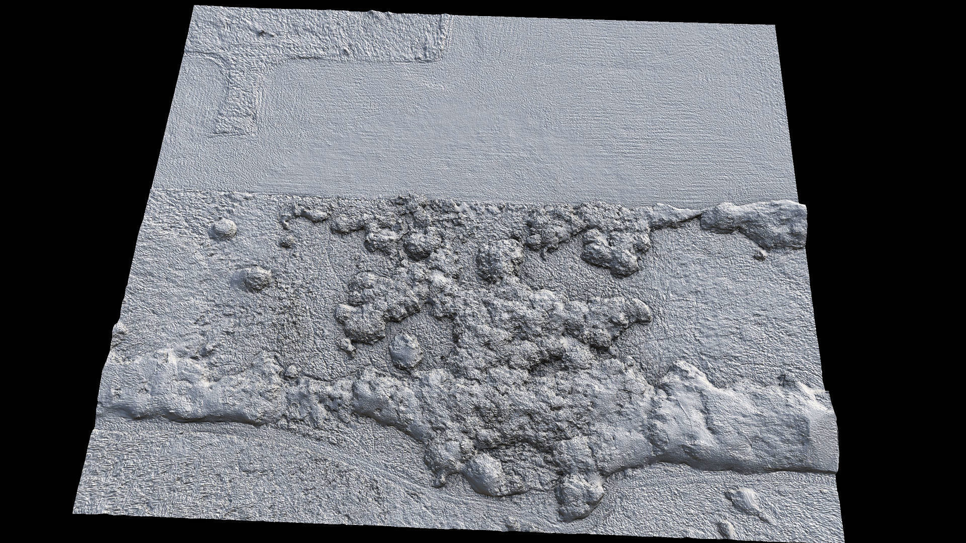 forest ground grass bushes aerial drone photogrammetry Low-poly 3D model_7