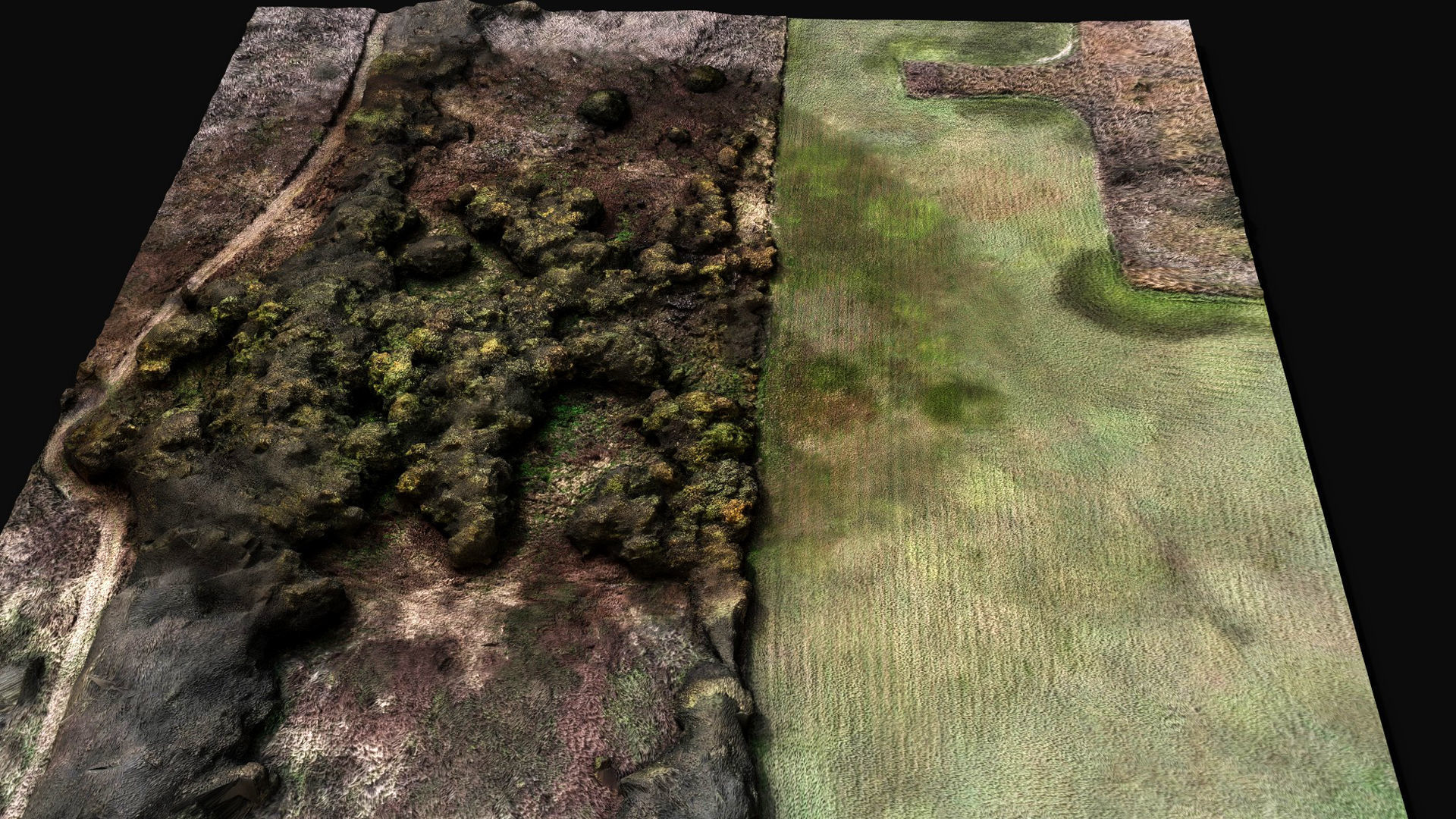 forest ground grass bushes aerial drone photogrammetry Low-poly 3D model_6