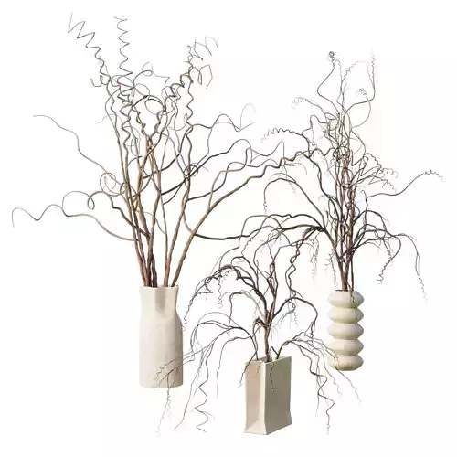dry branch in a bouquet concrete vase 64