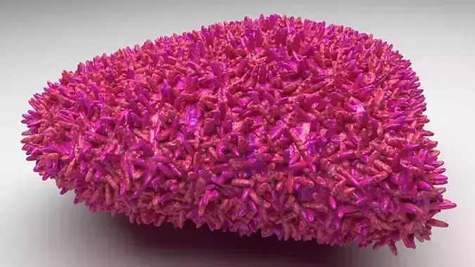 Heart Onigiri 3D model