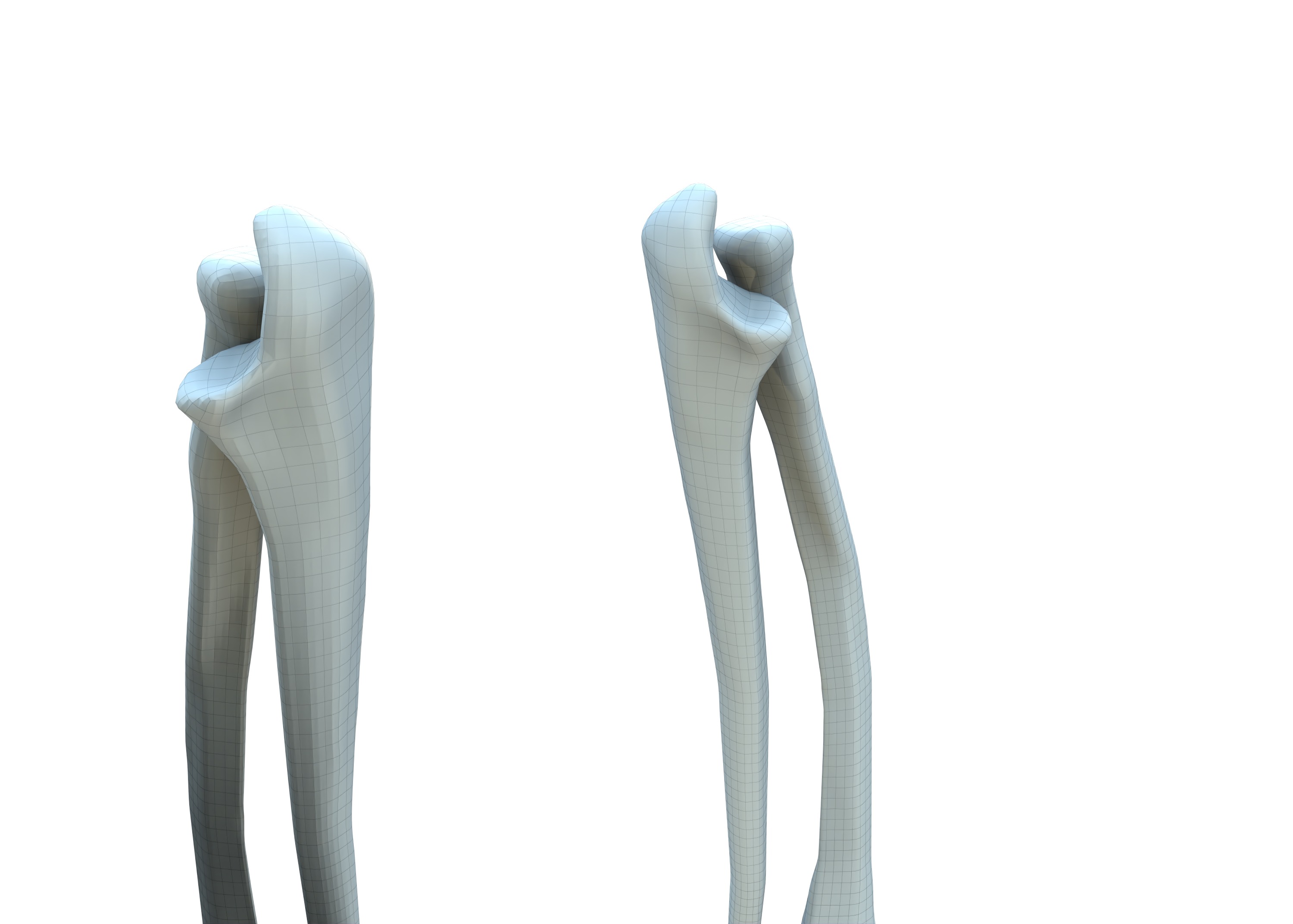 The Femur Low-poly 3D model_9
