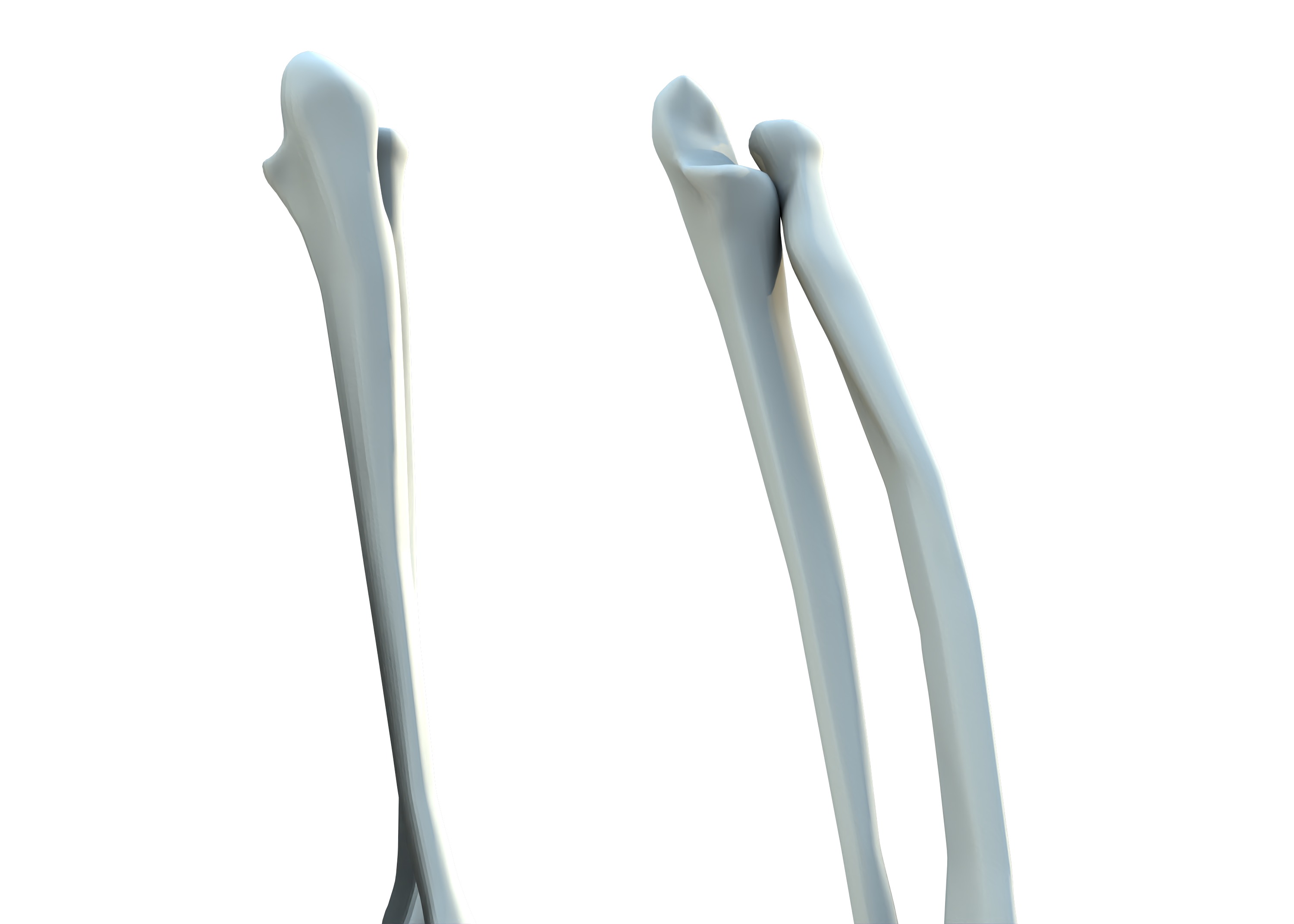 The Femur Low-poly 3D model_8