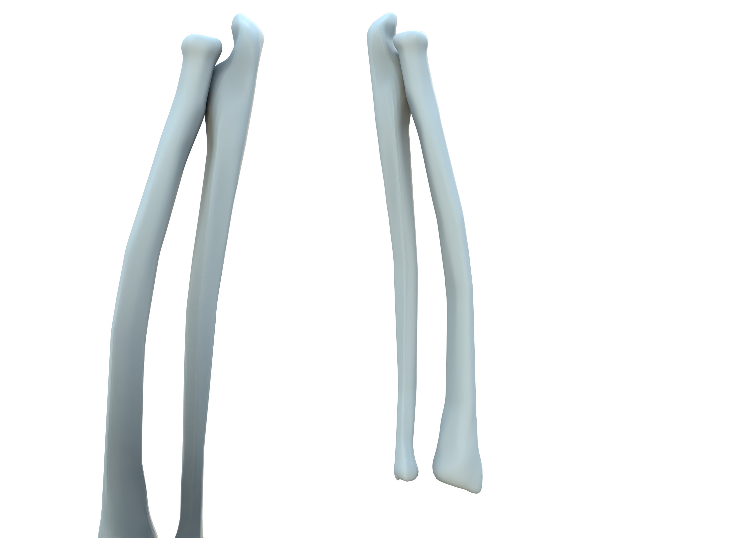 The Femur Low-poly 3D model_7