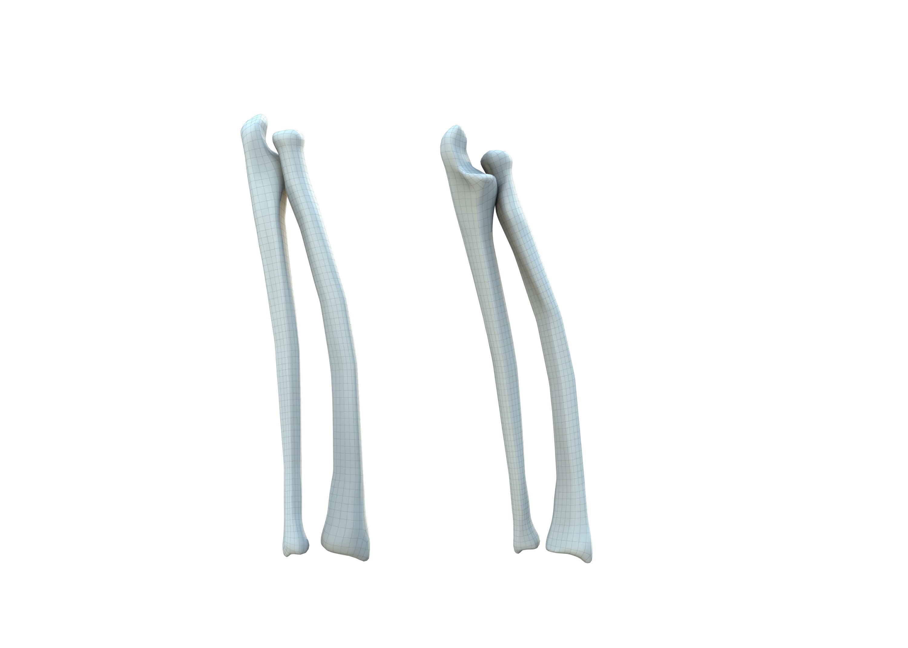 The Femur Low-poly 3D model_11