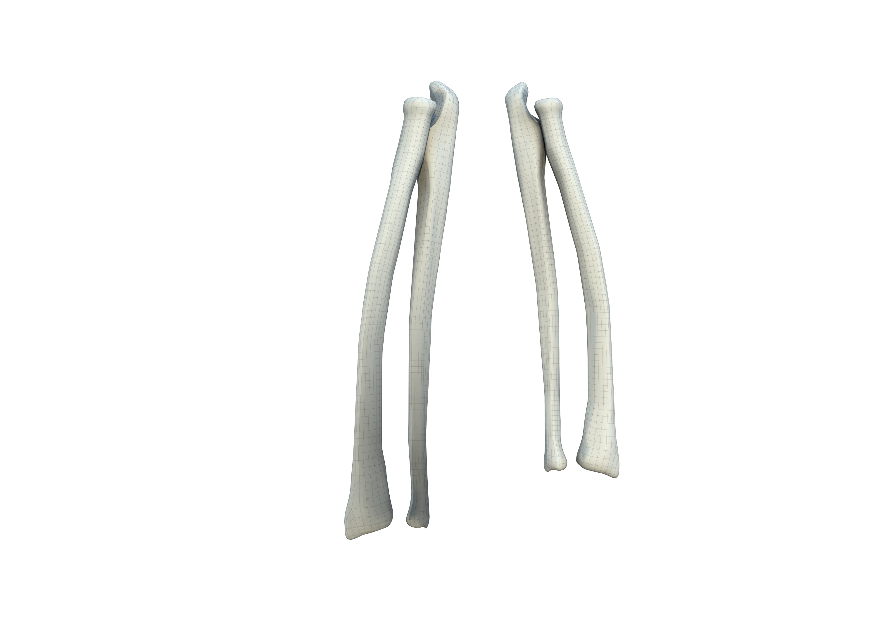 The Femur Low-poly 3D model_10