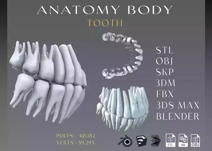 Tooth Low-poly 3D model