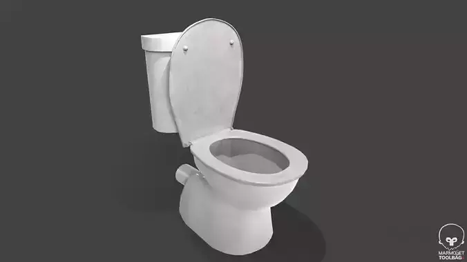 Dirty Toilet Low-poly 3D model