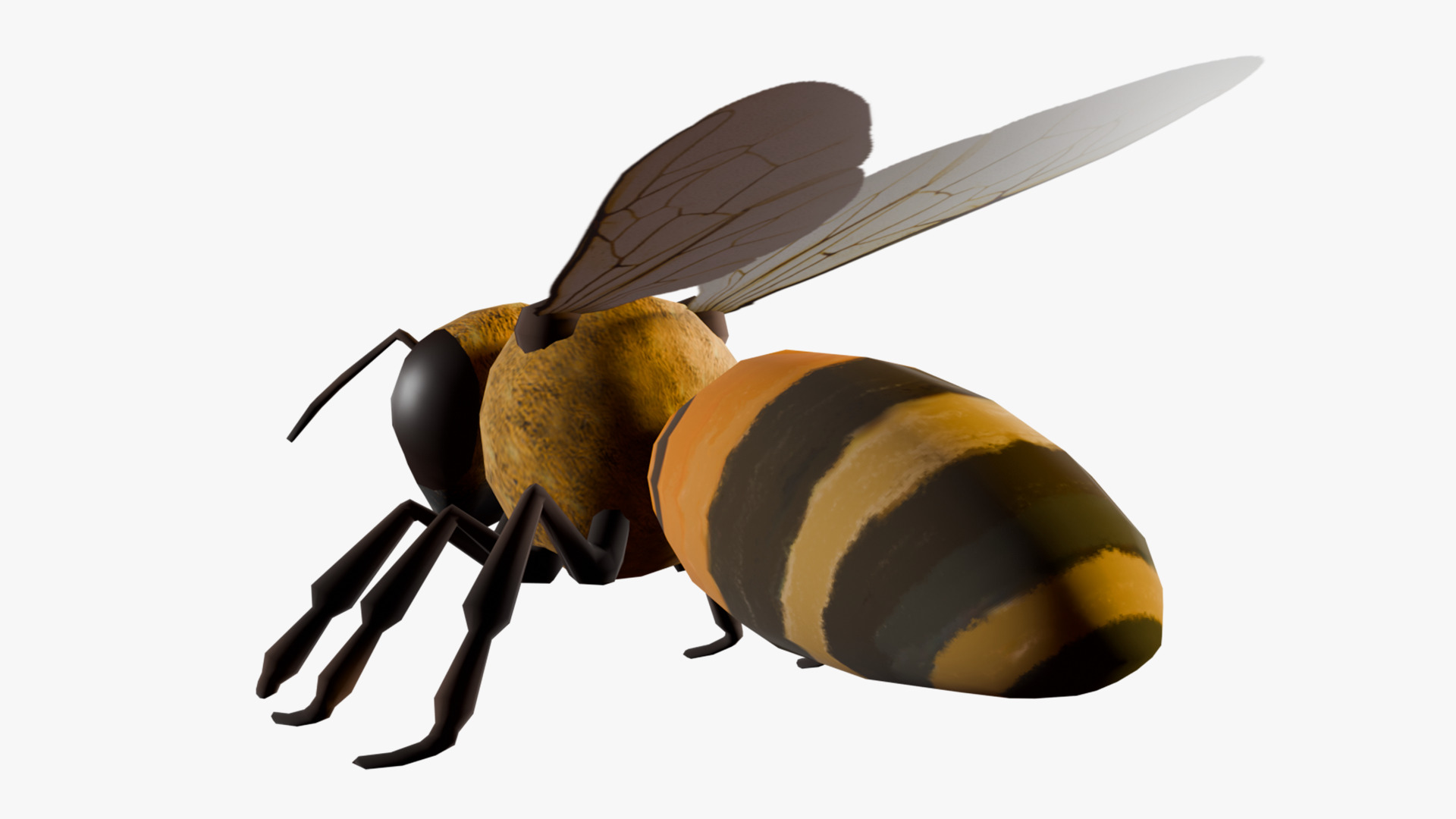 Animated Bee Low-poly 3D model_6