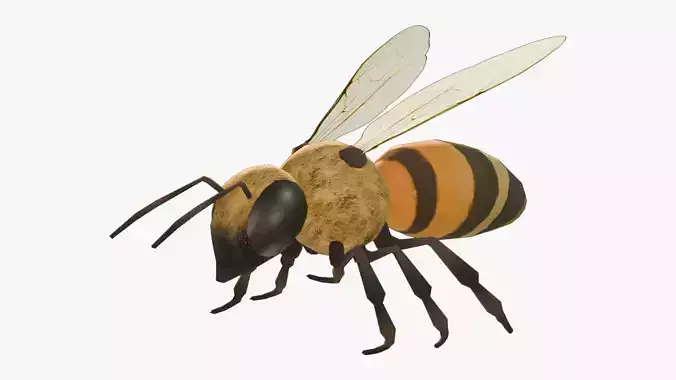 Animated Bee