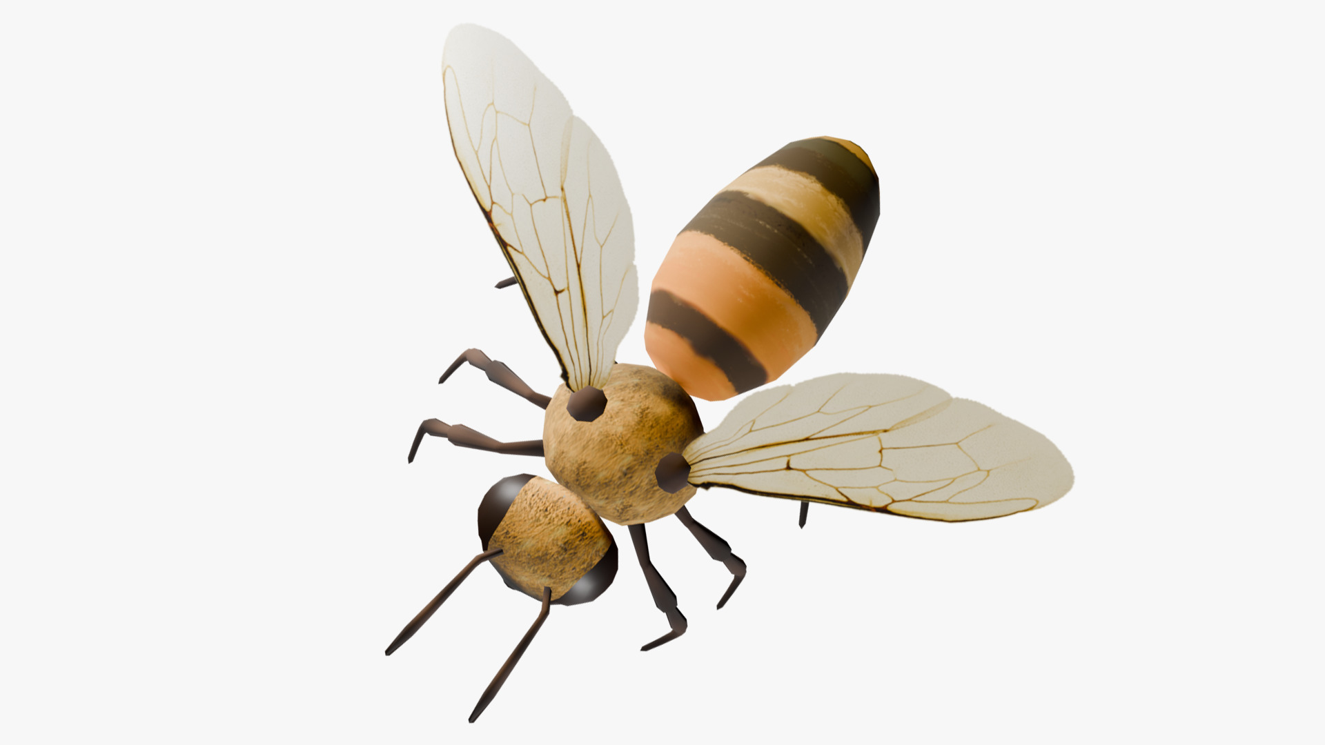 Animated Bee Low-poly 3D model_5