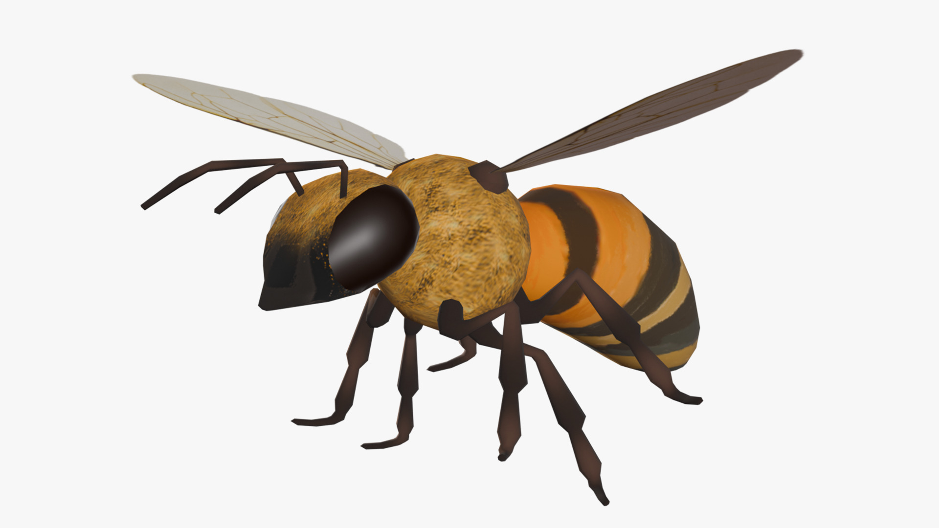 Animated Bee Low-poly 3D model_2
