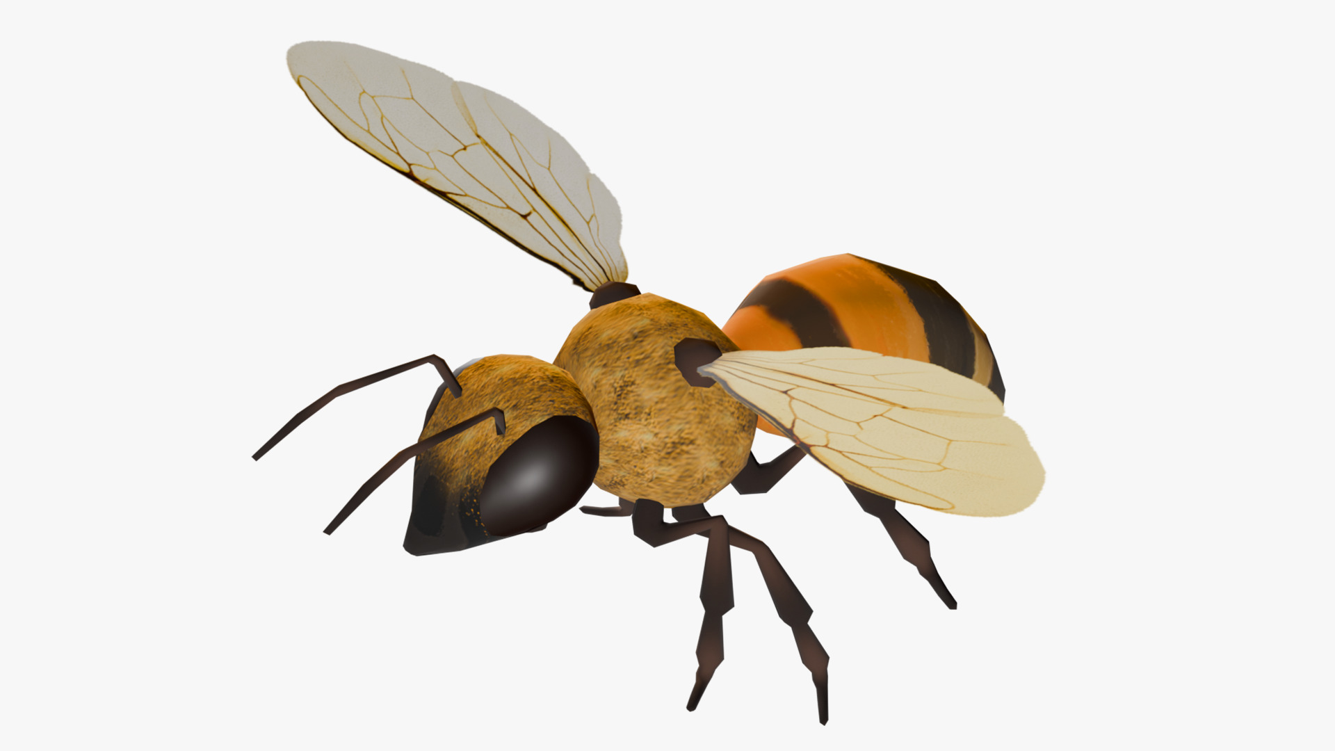 Animated Bee Low-poly 3D model_4