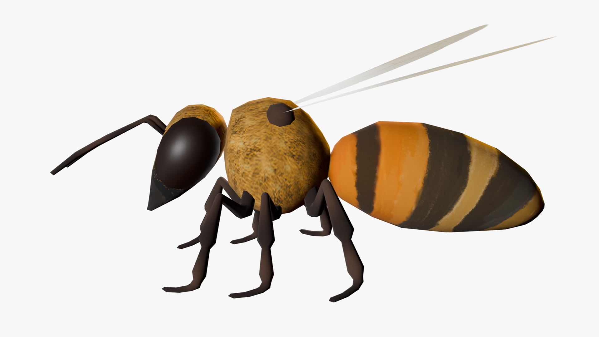 Animated Bee Low-poly 3D model_3
