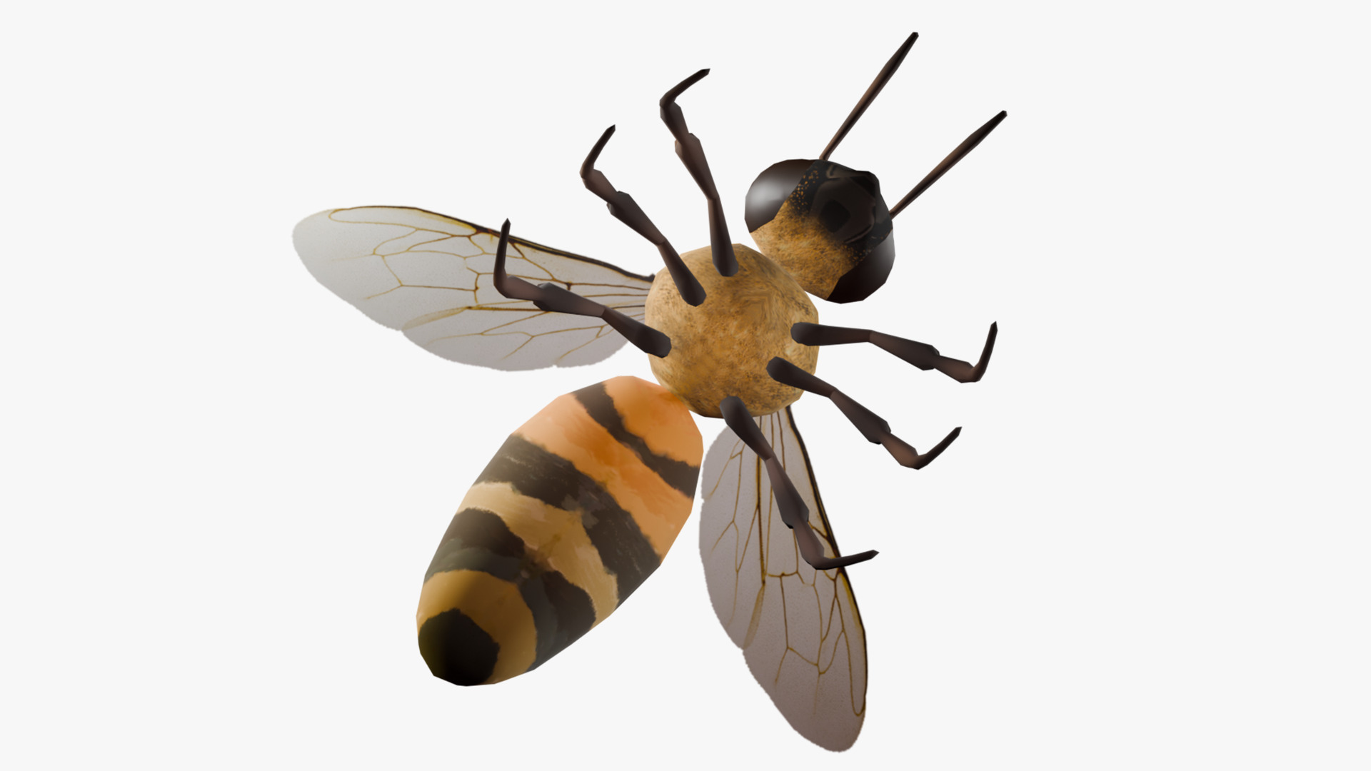 Animated Bee Low-poly 3D model_7