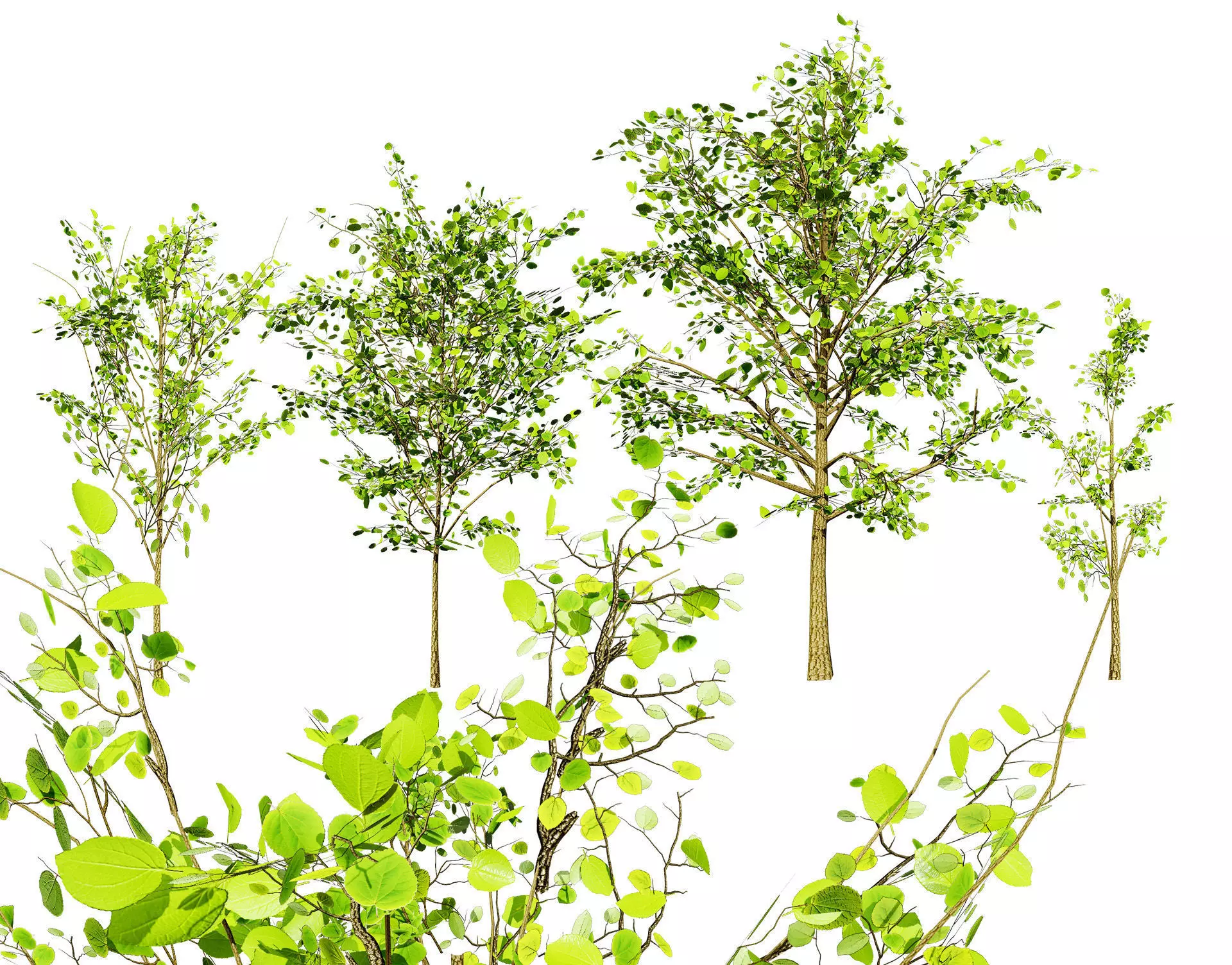 Lowpoly Katsura Tree Low-poly 3D model_0