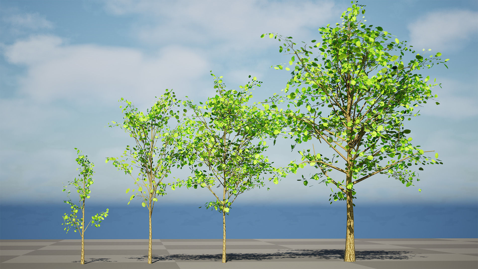 Lowpoly Katsura Tree Low-poly 3D model_3